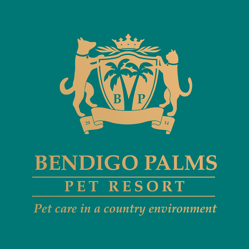 Bendigo Palms
